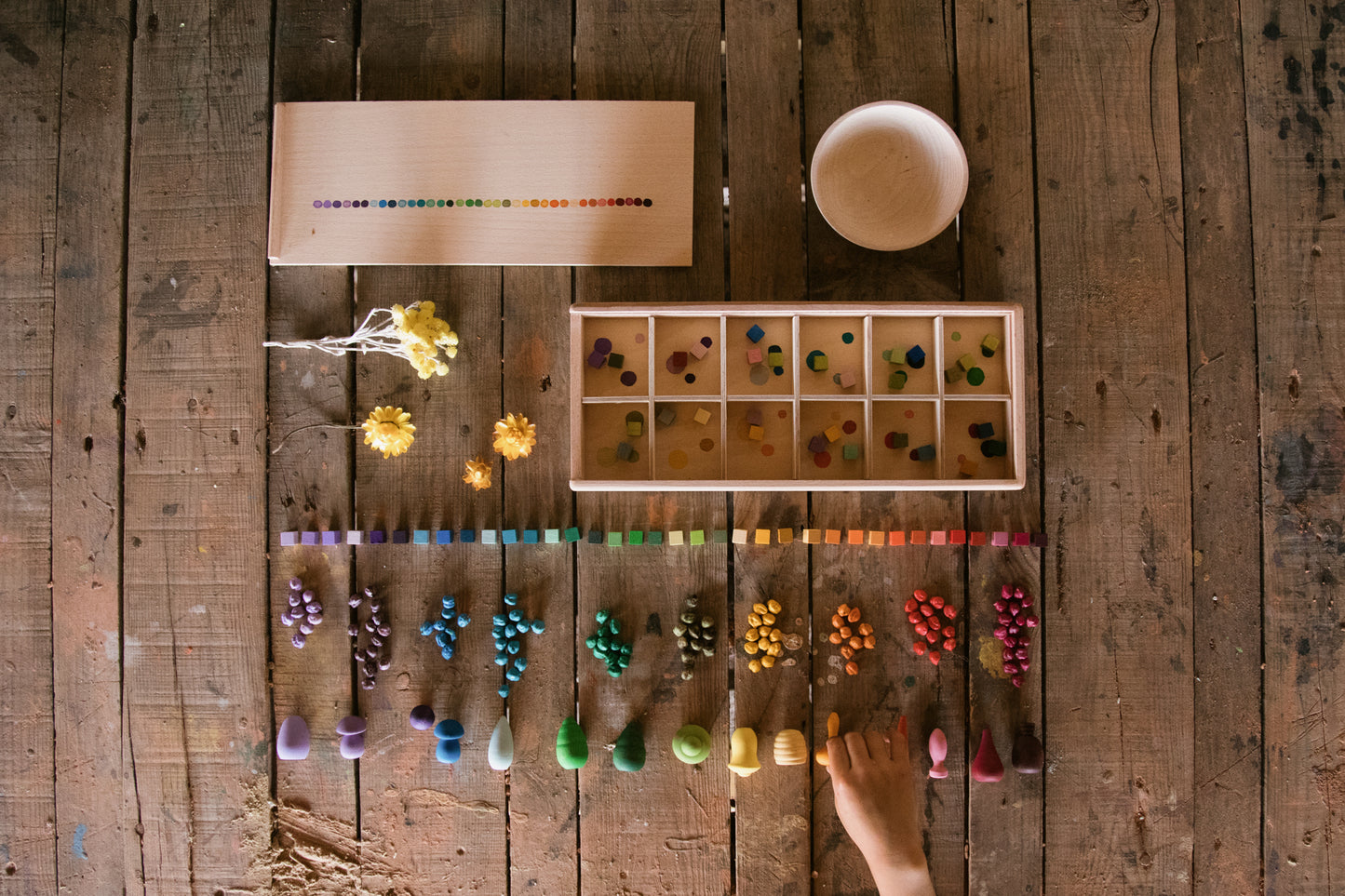 Grapat Mis and Match Color Sorting Set