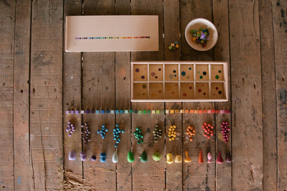 Grapat Mis and Match Color Sorting Set